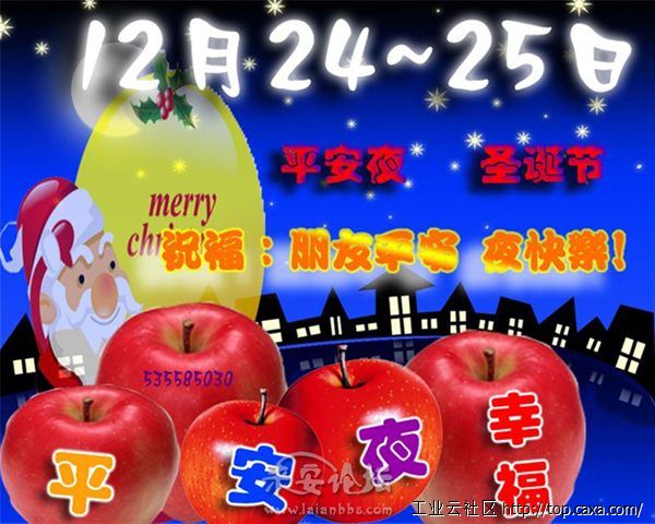 20111221203516538.jpg