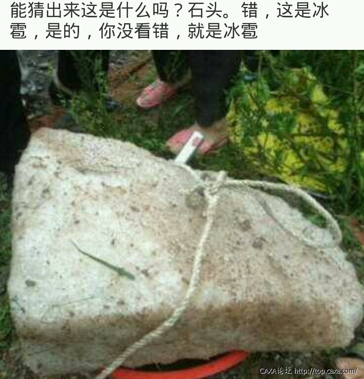 网页截图20130525_100519.jpg