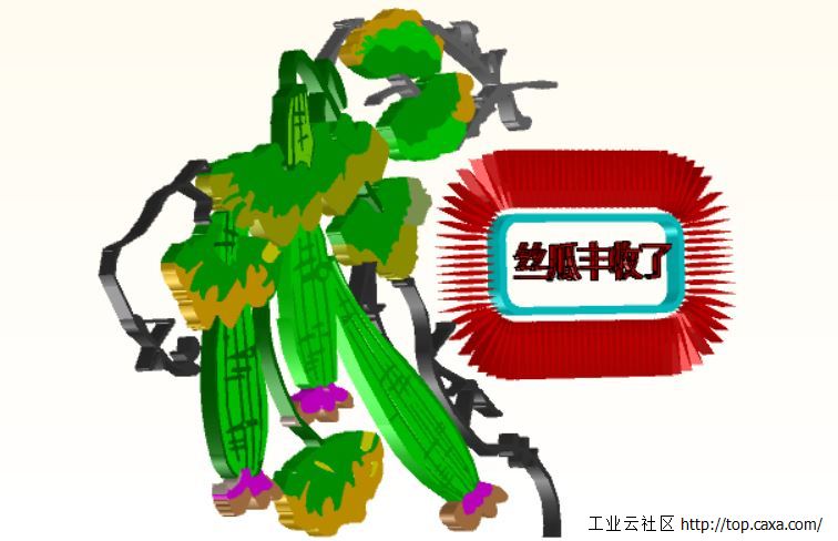 丝瓜2.jpg