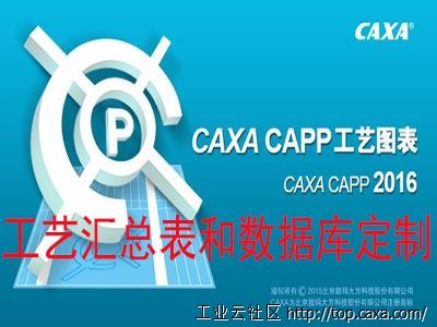 汇总表.jpg