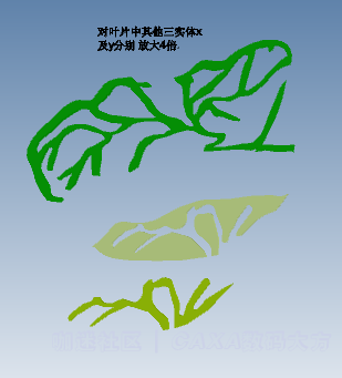 2.PNG