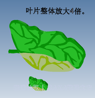 5.PNG