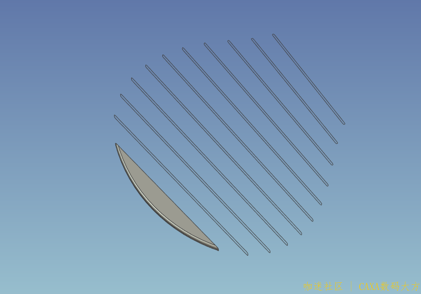 叶片5.png