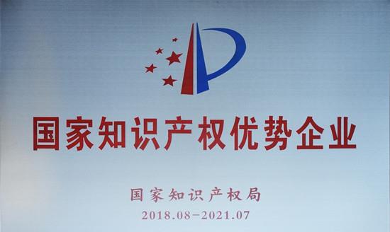 数码大方荣获“知识产权优势企业”称号